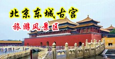 午夜极品美女裸露阴道搞鸡性爱中国北京-东城古宫旅游风景区